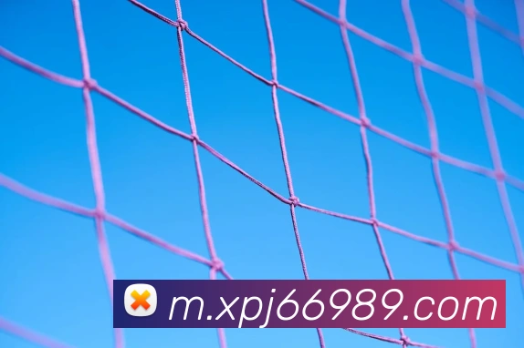 澳门xpj娱乐场服务体系